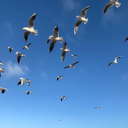 Seaside Park Prywatne Z Widokiem Na Morze Διαμέρισμα