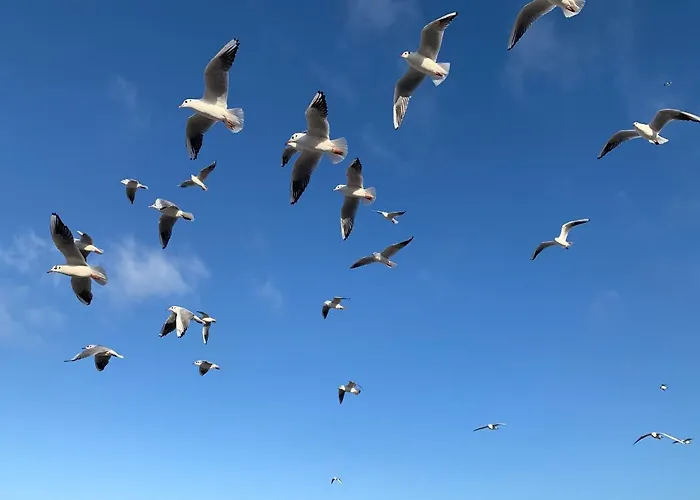 Seaside Park Prywatne Z Widokiem Na Morze Apartmán